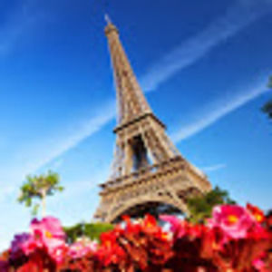 Meet your Posher, Cherry